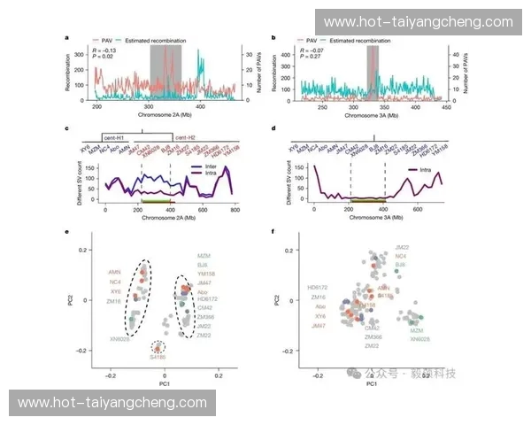 定义巅峰：VS100——开启感官与效能的视觉新纪元